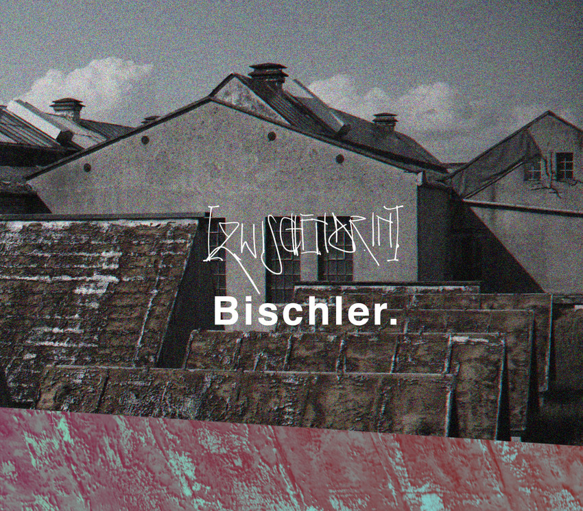 Das mittlerweile zweite Album von Bischler trägt den Namen "zwischendrin"